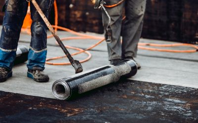 How Can Professional Solutions For Basement Waterproofing Needs Prevent Toxic Mold Growth?